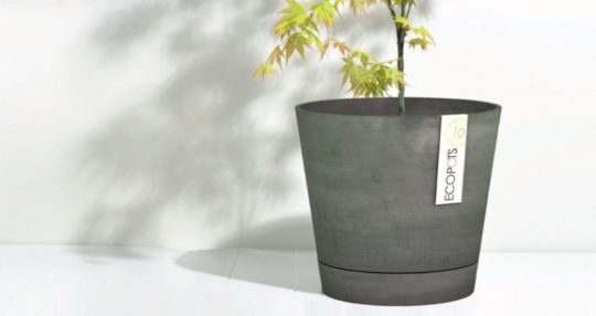 ECOPOTS